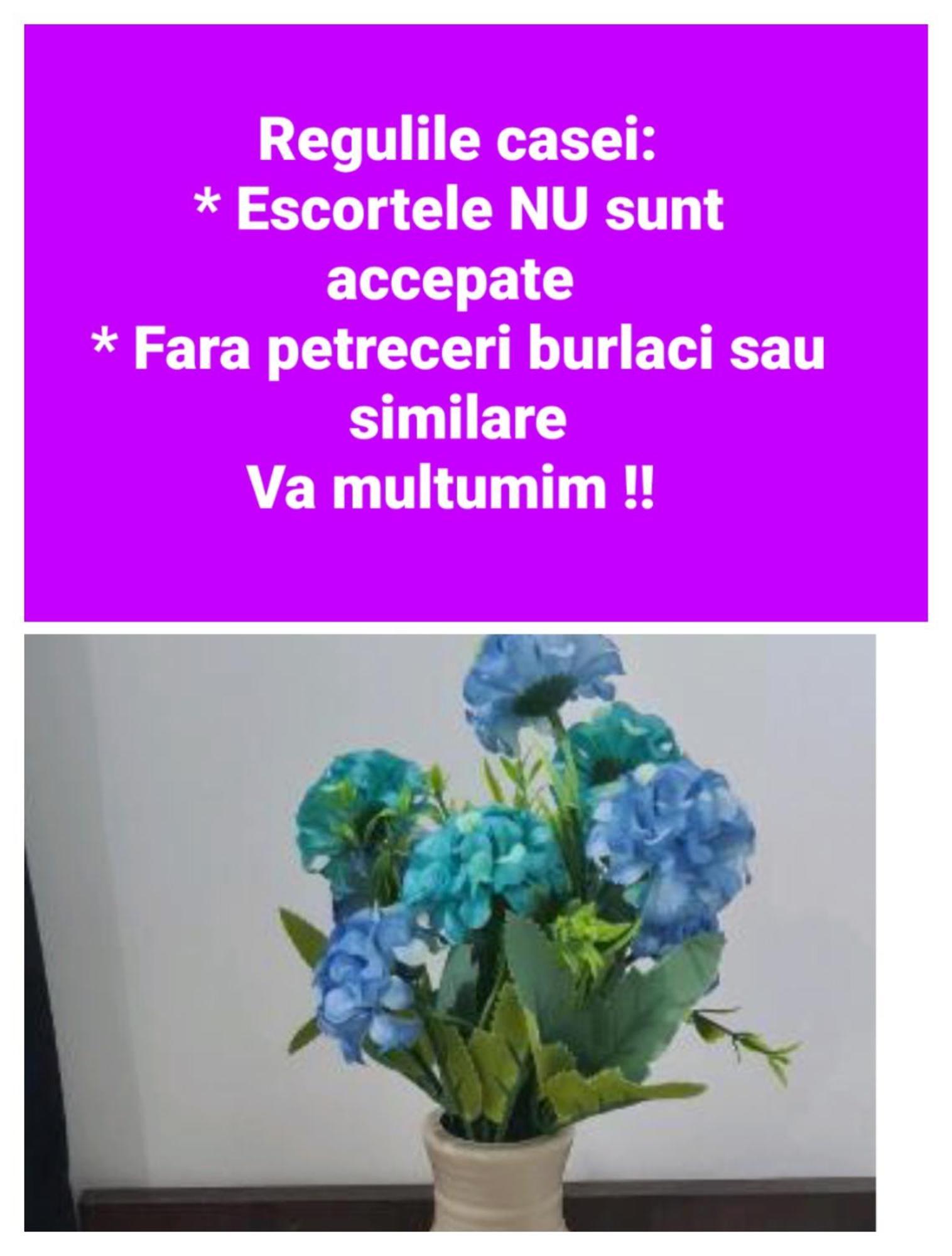 Seby Studio Constanţa Eksteriør bilde